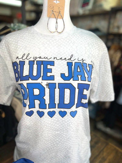  Needville High School Blue Jays T-Shirt C3 : Clothing, Shoes &  Jewelry